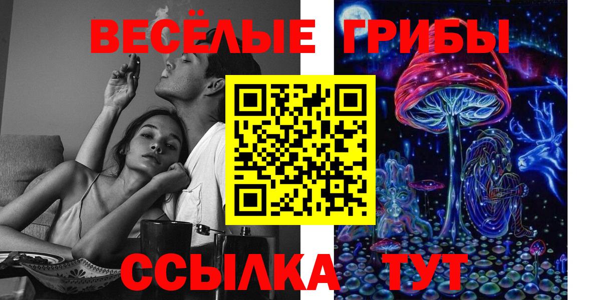Псилоцибиновые грибы GOLDEN TEACHER Воткинск