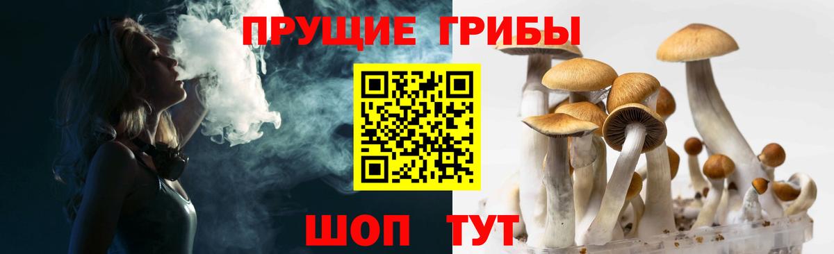 Воткинск  Галлюциногенные грибы прущие грибы  Вход с VPN 